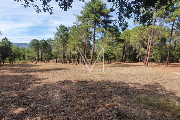 Maison de luxe à vendre à Plan-de-La-Tour, 1 175 000 €, Photo 4