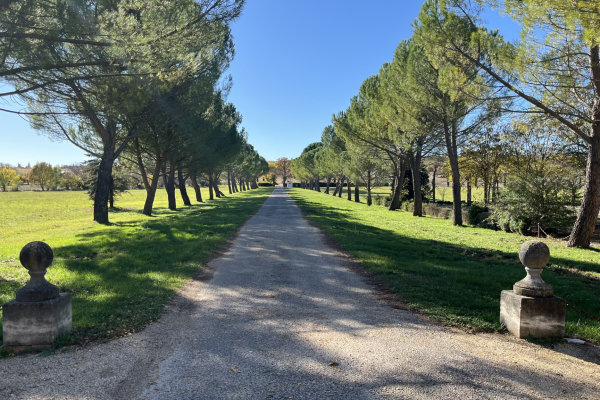 Luxury House for sale in Forcalquier, 5 900 000 €, Photo 6