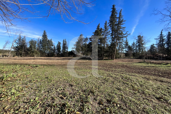 Maison de luxe à vendre à Saint-Rémy-de-Provence, 790 000 €, Photo 4