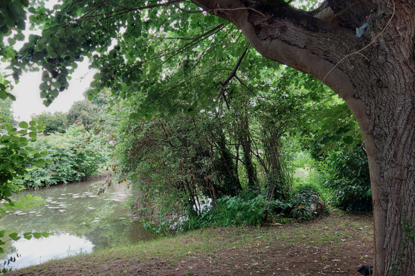 Maison de luxe à vendre à Saint-Amand-Montrond, 299 250 €, Photo 2