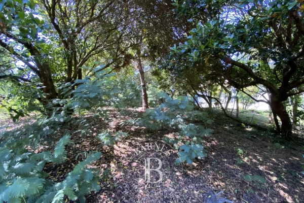 Maison de luxe à vendre à Cap Ferret, 871 500 €, Photo 3