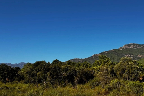 Maison de luxe à vendre à Porto-Vecchio, 685 000 €, Photo 1