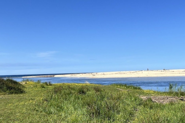 Appartement de luxe à vendre à Grosseto-Prugna, 284 000 €, Photo 4