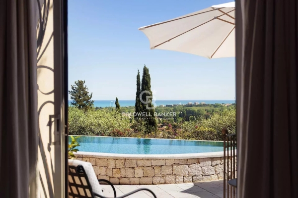 Maison de luxe à vendre à Valbonne, 3 900 000 €, Photo 1