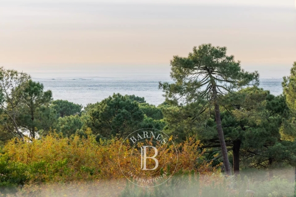Maison de luxe à vendre à Pyla sur Mer, 3 900 000 €, Photo 4