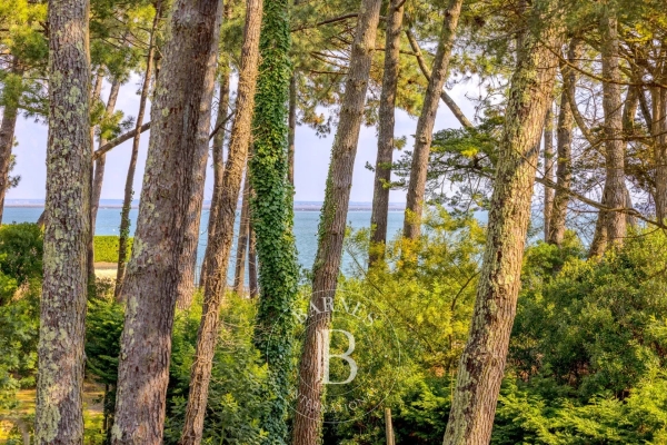 Maison de luxe à vendre à Cap Ferret, 5 995 000 €, Photo 5