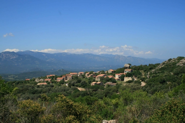 Maison de luxe à vendre à Sotta, 585 000 €, Photo 2