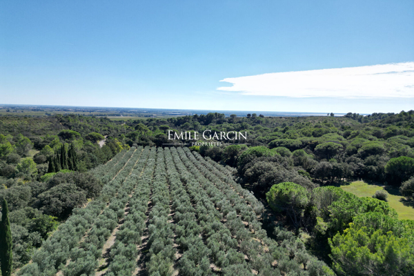 Maison de luxe à vendre à Nîmes, 6 890 000 €, Photo 7