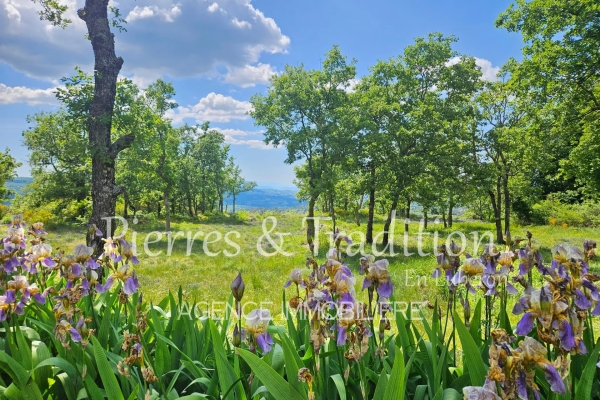 Luxury House for sale in Caseneuve, 899 000 €, Photo 3