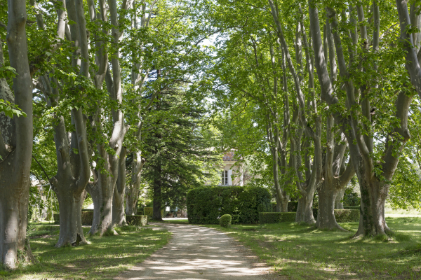 Maison de luxe à vendre à Beaumes-de-Venise, 1 855 000 €, Photo 6