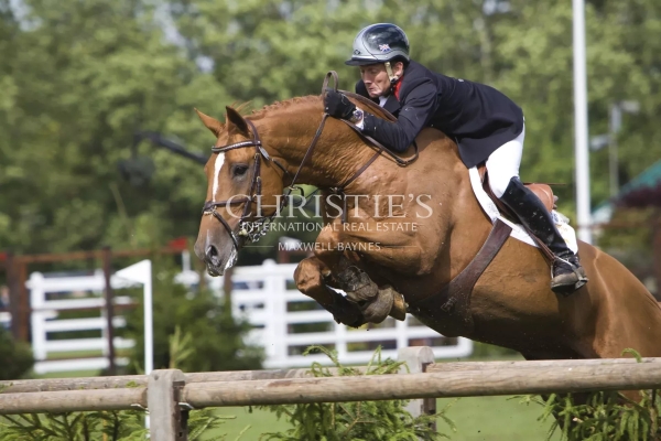 Maison de luxe à vendre à Angoulême, 3 000 000 €, Photo 1