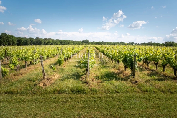 Maison de luxe à vendre à Saumur, 3 400 000 €, Photo 4
