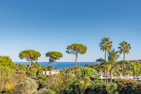 Maison de luxe à vendre à Cap d'Antibes, 4 900 000 €, Photo 3