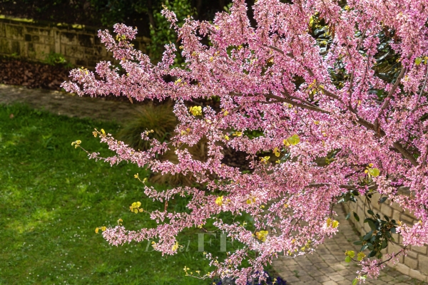 Appartement de luxe à vendre à Neuilly-sur-Seine, 1 996 800 €, Photo 4