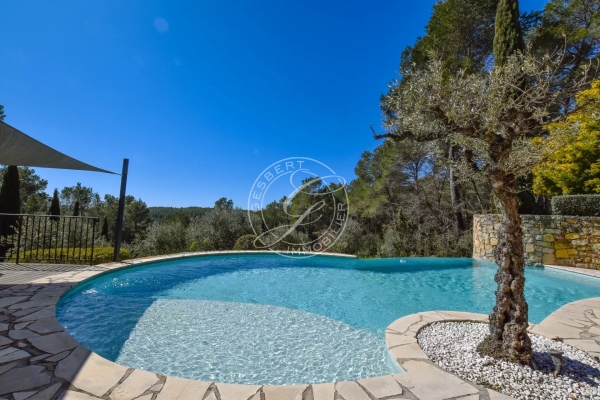 Maison de luxe à vendre à Flayosc, 995 000 €, Photo 4