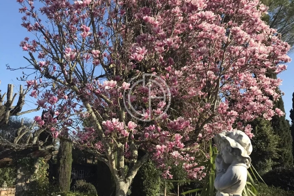 Maison de luxe à vendre à Mougins, 1 285 000 €, Photo 6