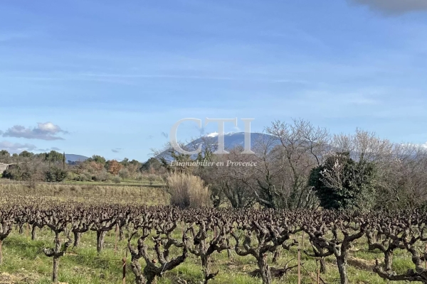 Maison de luxe à vendre à Vaison-la-Romaine, 1 050 000 €, Photo 2