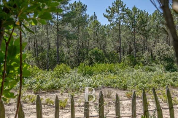 Maison de luxe à vendre à Lege Cap Ferret, 1 995 000 €, Photo 3