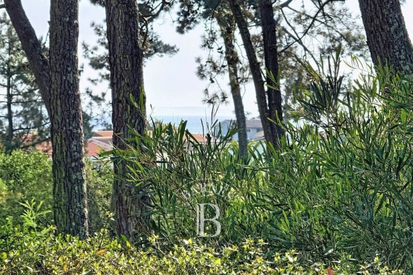 Maison de luxe à vendre à Lege Cap Ferret, 1 995 000 €, Photo 3