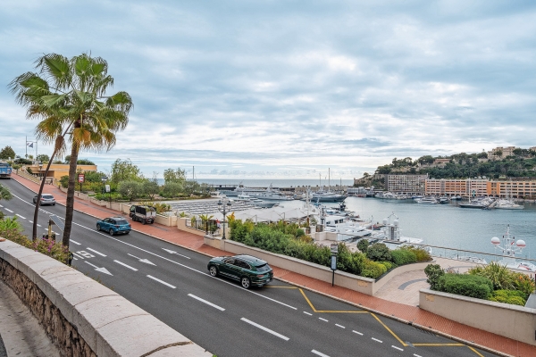 Appartement de luxe à vendre à Monaco, 10 300 000 €, Photo 4