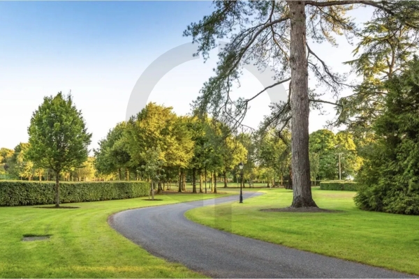 Maison de luxe à vendre à Dublin, 8 000 000 €, Photo 4