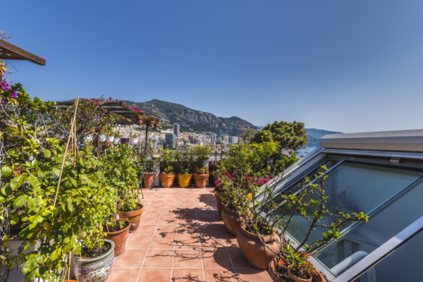 Luxury House for sale in Monaco, 27 000 000 €, Photo 3