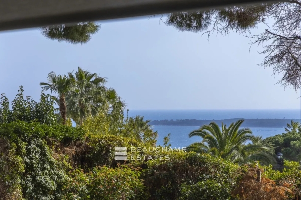 Maison de luxe à vendre à Cannes, 4 500 000 €, Photo 2