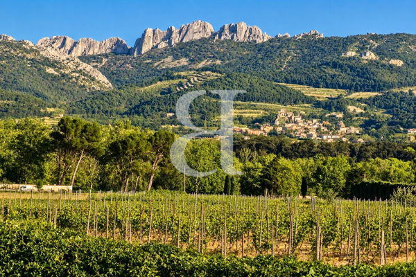 Maison de luxe à vendre à Vaison-la-Romaine, 995 000 €, Photo 4