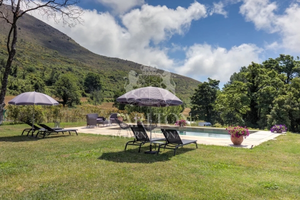 Luxury House for sale in Tourrettes-sur-Loup, 1 950 000 €, Photo 6