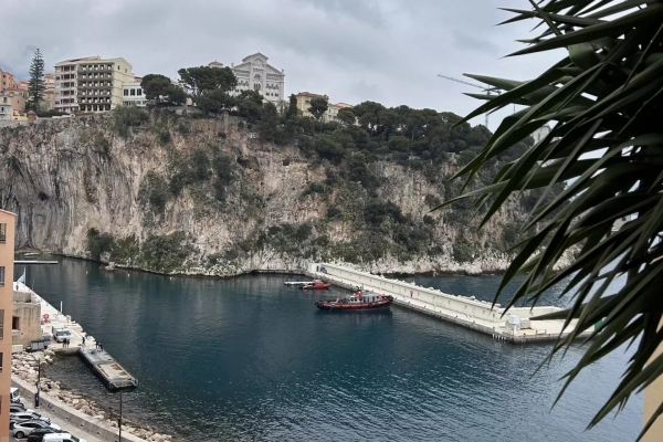 Appartement de luxe à louer à Monaco, 8 200 €, Photo 1