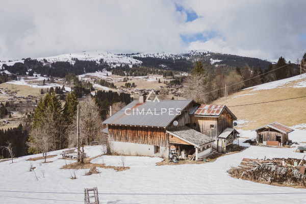 Maison de luxe à vendre à Les Gets, 1 280 000 €, Photo 1