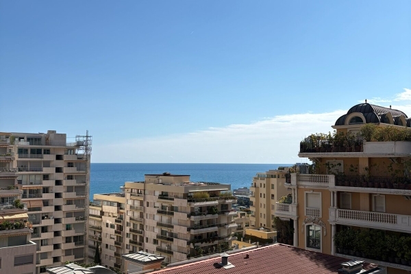 Appartement de luxe à vendre à Monaco, 6 500 000 €, Photo 2