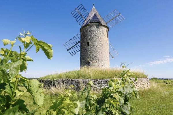 Maison de luxe à vendre à Saint-Émilion, 910 000 €, Photo 5