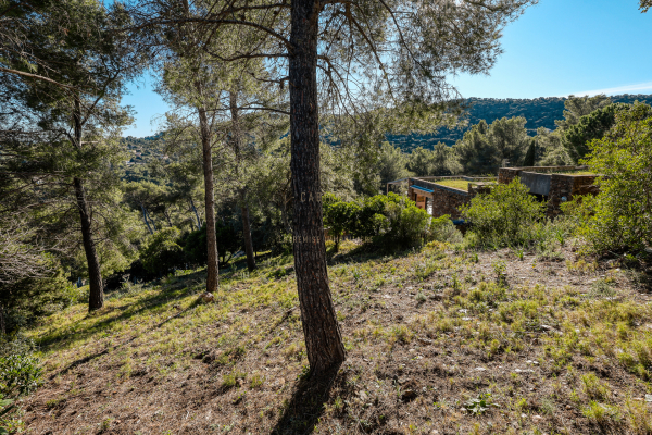 Maison de luxe à vendre à Bormes-les-Mimosas, 2 050 000 €, Photo 6