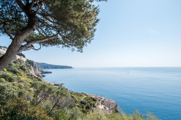 Maison de luxe à vendre à Nice, 6 300 000 €, Photo 6