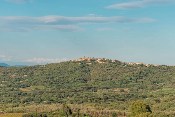 Luxury House for sale in La Croix-Valmer, 2 950 000 €, Photo 6