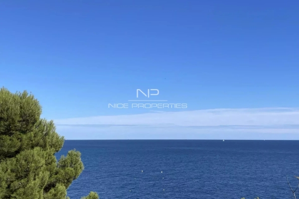 Luxury House for sale in Roquebrune-Cap-Martin, 29 000 000 €, Photo 2