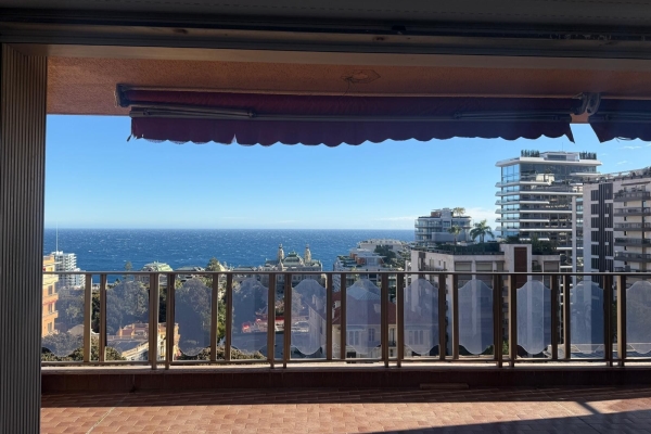 Appartement de luxe à vendre à Monaco, 9 800 000 €, Photo 4