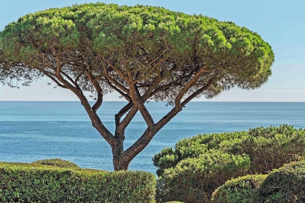 Maison de luxe à vendre à Ramatuelle, 19 500 000 €, Photo 1