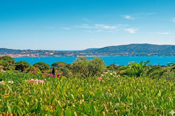 Luxury House for sale in Grimaud, 3 150 000 €, Photo 3