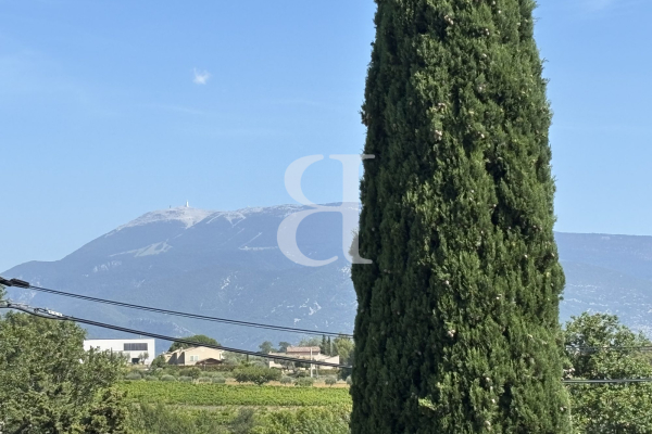 Maison de luxe à vendre à Vaison-la-Romaine, 954 000 €, Photo 3