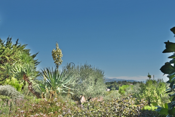 Luxury House for sale in Valbonne, 1 785 000 €, Photo 2