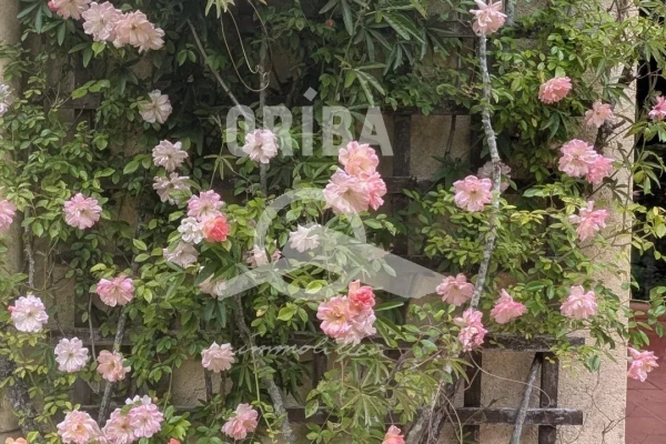 Maison de luxe à vendre à Guérande, 509 600 €, Photo 2