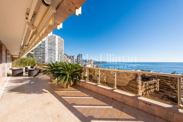 Appartement de luxe à vendre à Monaco, 17 500 000 €, Photo 3