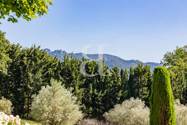 Maison de luxe à vendre à Vaison-la-Romaine, 879 000 €, Photo 4