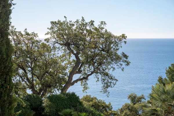 Luxury Apartment for sale in Toulon, 920 000 €, Photo 2