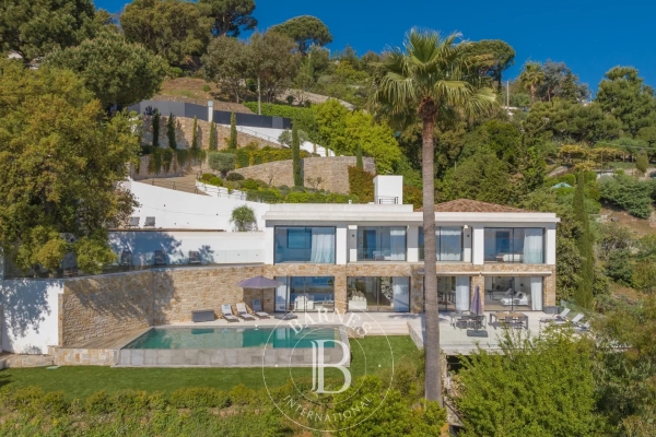 Maison de luxe à vendre à Cannes, 5 990 000 €, Photo 3