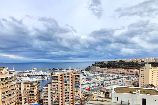 Appartement de luxe à vendre à Monaco, 4 600 000 €, Photo 1