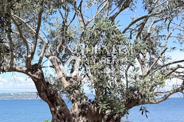 Maison de luxe à vendre à Saint-Tropez, 35 000 000 €, Photo 3