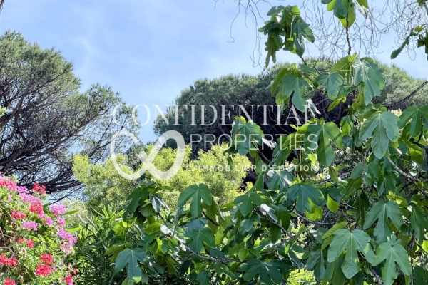 Maison de luxe à vendre à Saint-Tropez, 35 000 000 €, Photo 4
